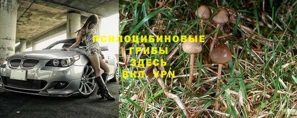 гашик Касимов