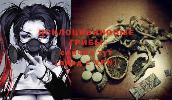 эйфоретик Карпинск