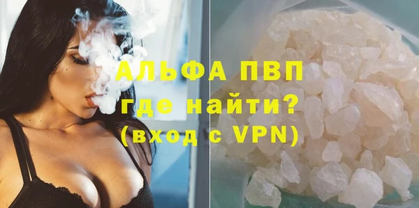 гашик Касимов