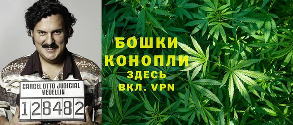 эйфоретик Карпинск