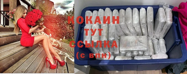 гашик Касимов