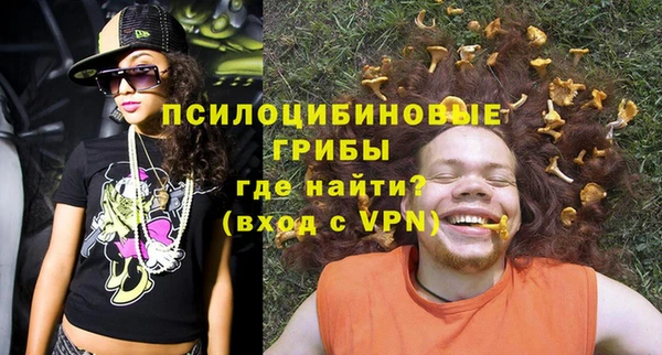 гашик Касимов