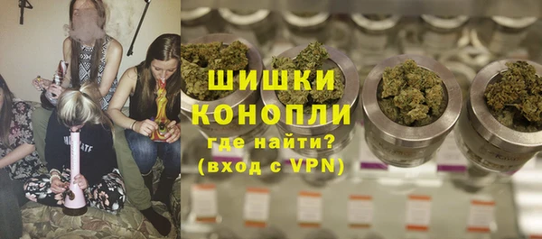гашик Касимов