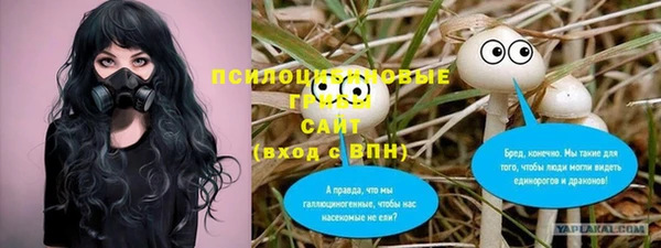 гашик Касимов