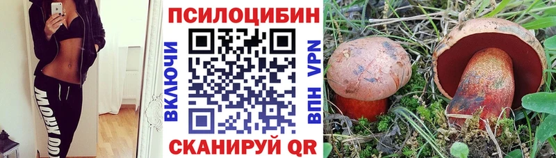 Купить закладки  Мегион  Галлюциногенные грибы Psilocybe 